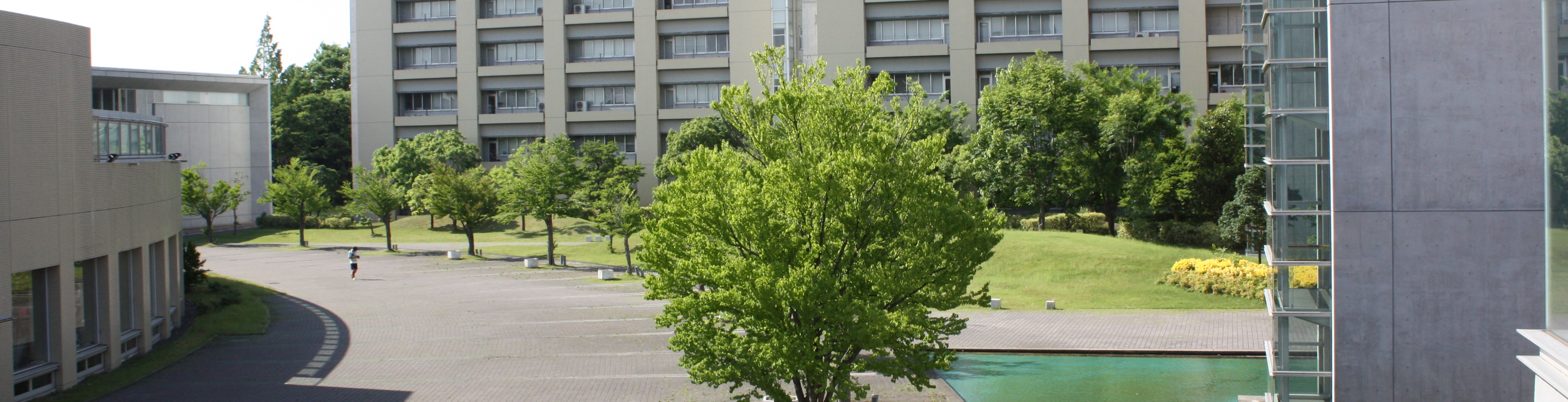 明治薬科大学　総合薬学模擬試験 2025年度 私立薬学部入試問題と解答 7.明治薬科大学 | Pay ID