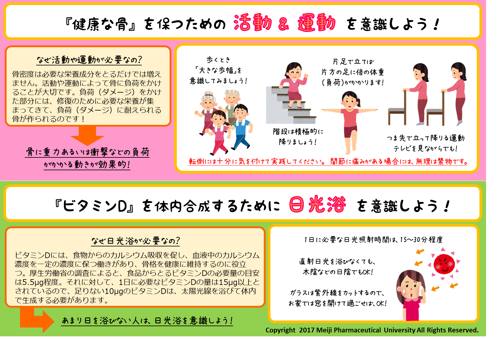 骨密度が上がることは無い いいえ 上がります どうかあきらめないで 明治薬科大学セルフメディケーション学研究室