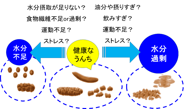 毎日の健康は 便 うんち でわかる 1 明治薬科大学セルフメディケーション学研究室