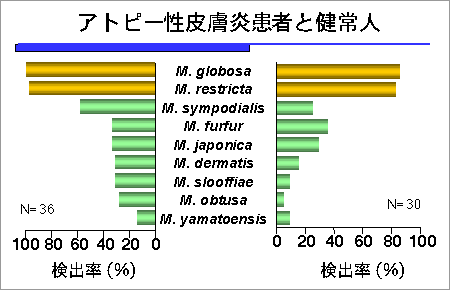 図6
