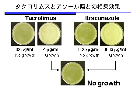 図12